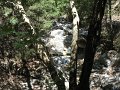 IMG_2172 - Copy